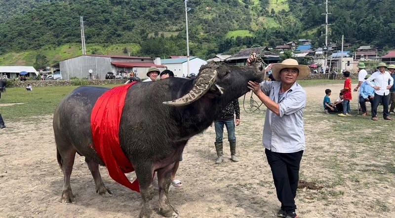 Sơn La: Chuẩn bị diễn ra Lễ hội mừng cơm mới ở Ngọc Chiến