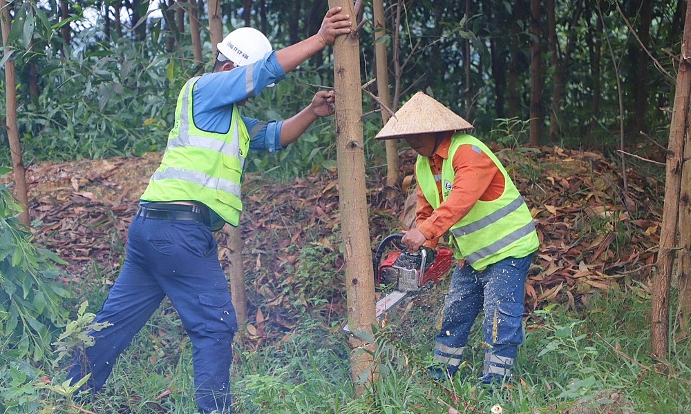 Thị trấn Vũ Quang (Hà Tĩnh): Ra quân giải tỏa hành lang giao thông trên tuyến đường Hồ Chí Minh