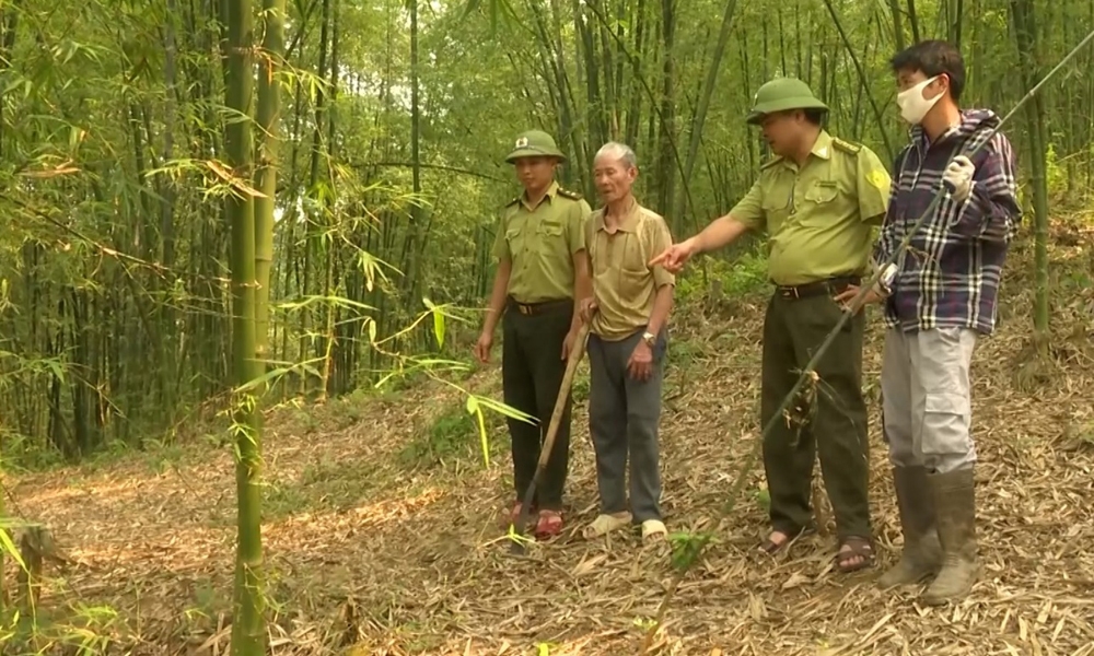 Thanh Hóa: Triển khai hàng loạt chính sách hỗ trợ, phát triển sản xuất dành cho đồng bào dân tộc thiểu số miền núi