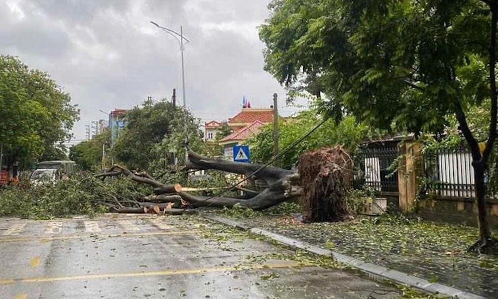 Bắc Ninh: Hơn 500 ngôi nhà ở bị tốc mái, nông nghiệp thiệt hại nặng do bão số 3