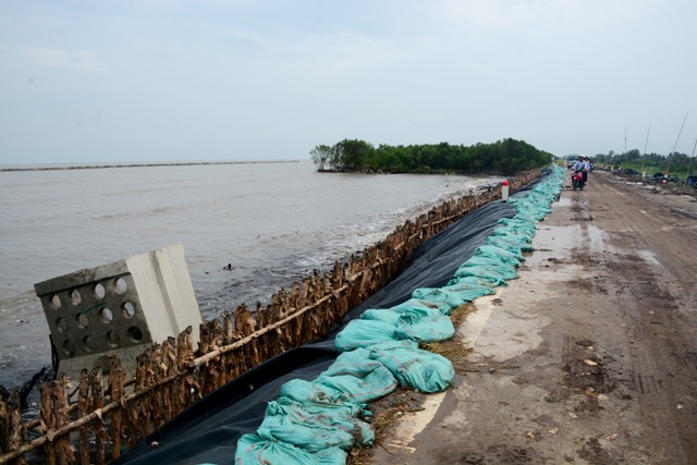 Cà Mau: Triển khai xây dựng đê biển và kè những đoạn xung yếu