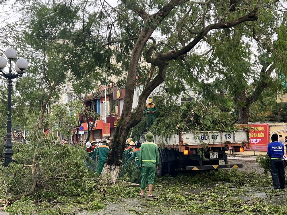 Công ty TNHH MTV Môi trường đô thị Hải Phòng: Tập trung khắc phục bảo đảm giao thông sau bão Yagi