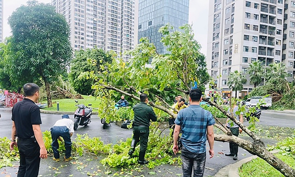 Gia Lâm (Hà Nội): Khẩn trương khắc phục hậu quả thiên tai