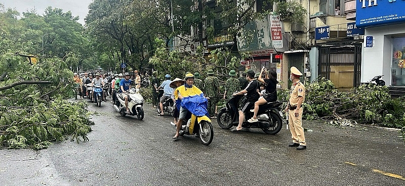 Hai Bà Trưng (Hà Nội): Tập trung khắc phục hậu quả sau bão