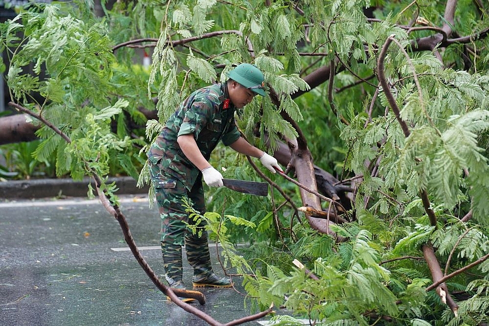 Hà Nội: Quận Ba Đình tích cực khắc phục hậu quả sau siêu bão Yagi