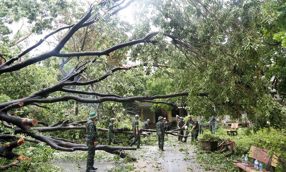 Hà Đông (Hà Nội): Tích cực, chủ động khắc phục hậu quả bão số 3