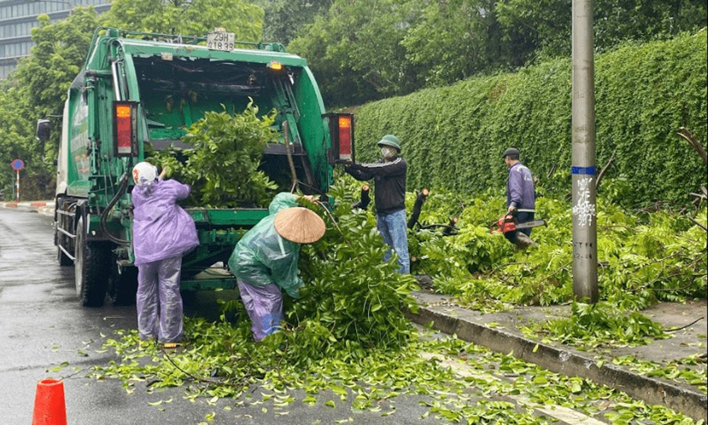 Hà Nội: Quận Cầu Giấy huy động tối đa nguồn lực khắc phục sau bão Yagi