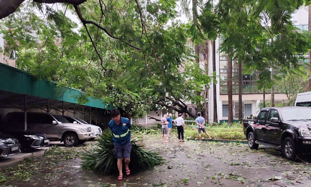 LILAMA khắc phục nhanh hậu quả mưa bão, khôi phục ngay hoạt động sản xuất kinh doanh