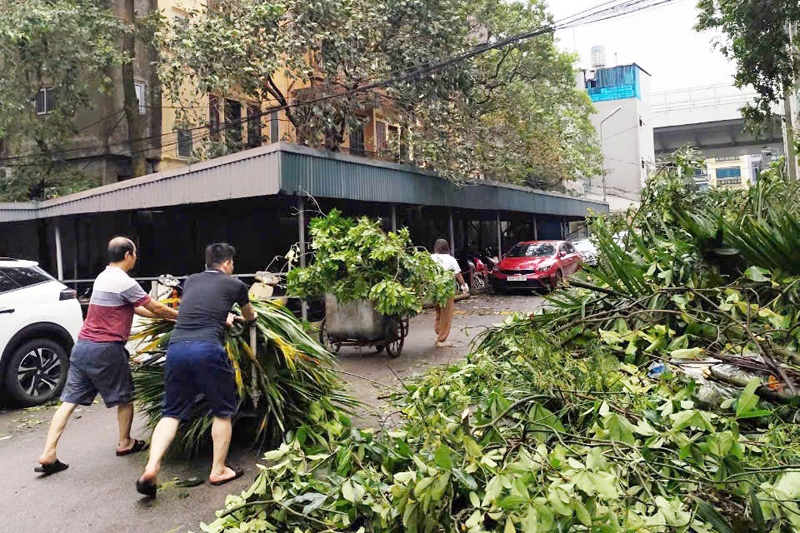 LILAMA khắc phục nhanh hậu quả mưa bão, khôi phục ngay hoạt động sản xuất kinh doanh