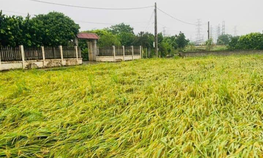 Thái Nguyên: Bão lũ gây thiệt hại ước tính trên 608 tỷ đồng