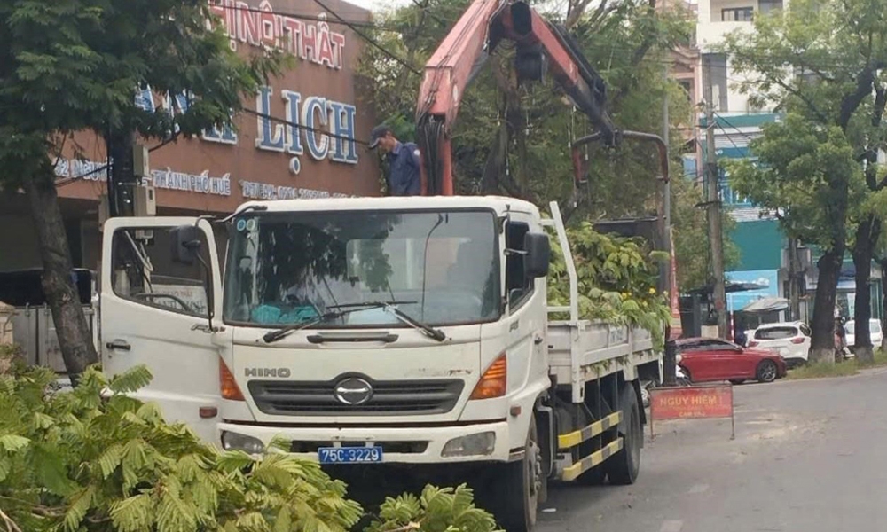 Thừa Thiên – Huế: Lên phương án “làm đẹp” cây xanh đô thị trước mùa mưa bão