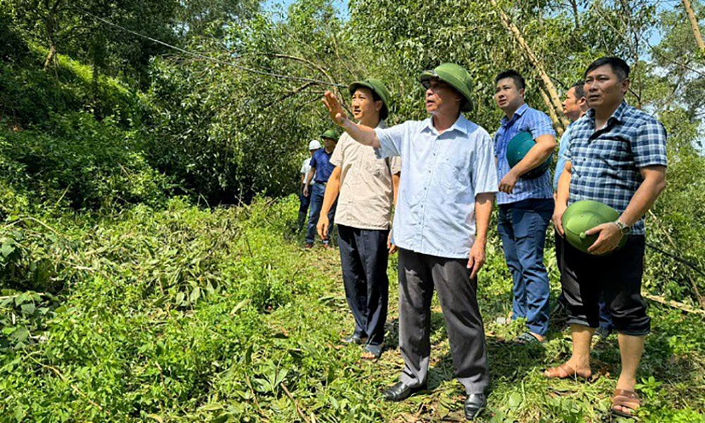 Bắc Giang: Phát hiện cung sạt trượt dài 100m trên núi Y Sơn, tỉnh ra công điện hỏa tốc công bố tình huống khẩn cấp