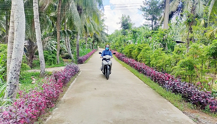 Bến Tre nỗ lực đầu tư cải thiện cơ sở hạ tầng nông thôn vươn lên thoát nghèo