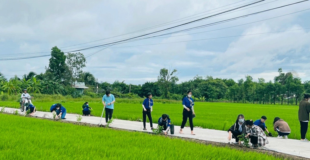 Tiền Giang: Xã Tân Trung khởi sắc từ phong trào xây dựng nông thôn mới