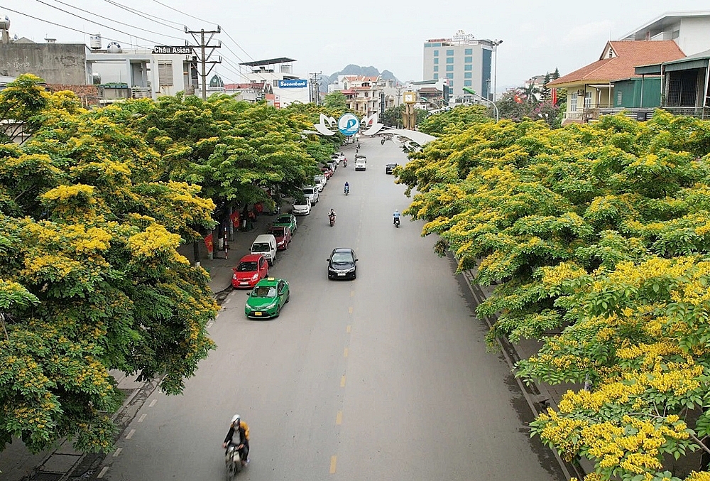 Cẩm Phả (Quảng Ninh): Khôi phục cảnh quan đô thị sau bão số 3