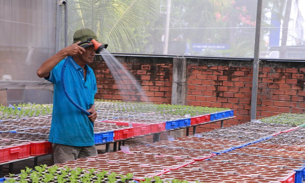 Thành phố Hồ Chí Minh: Đẩy mạnh phát triển kinh tế tuần hoàn trong nông nghiệp