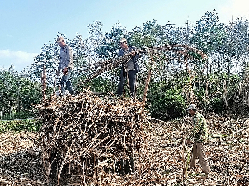 Các dân tộc tỉnh Phú Yên đoàn kết, đổi mới sáng tạo, phát huy lợi thế, tiềm năng, hội nhập và phát triển bền vững