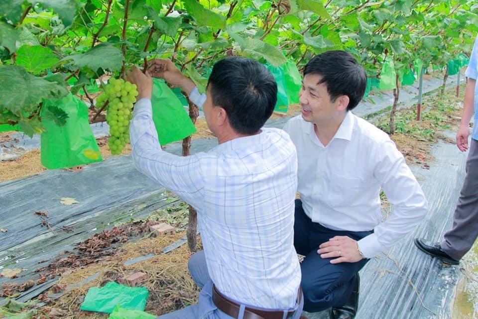 Đông Triều (Quảng Ninh): Xây dựng nông thôn mới kiểu mẫu văn minh, hiện đại