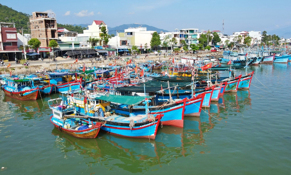 Khánh Hòa: Kiểm tra tình hình thực hiện công tác chống khai thác IUU