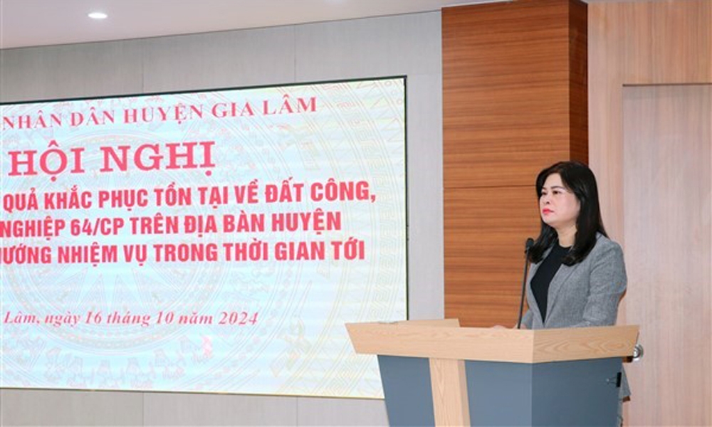 Gia Lâm (Hà Nội): Đánh giá kết quả khắc phục các vi phạm trên đất công, đất nông nghiệp giao theo Nghị định 64/CP trên địa bàn huyện