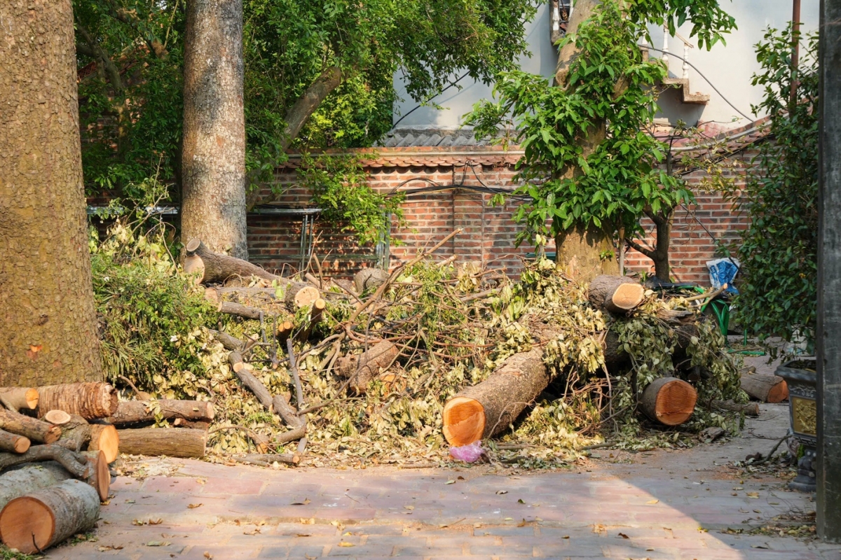 Bắc Giang: Chùa Vĩnh Nghiêm Triển khai khôi phục, tu sửa sau thiệt hại từ bão số 3