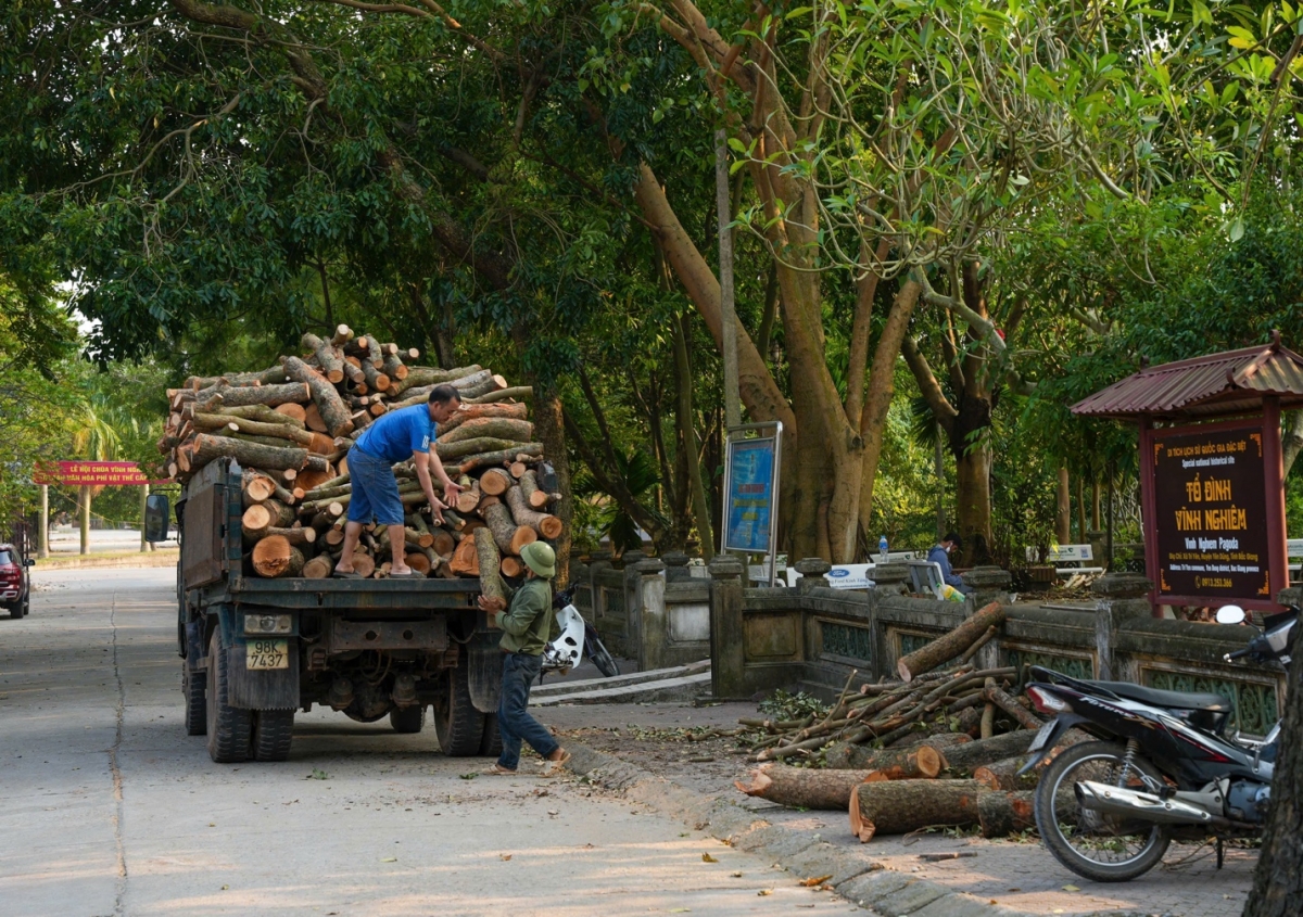 Bắc Giang: Chùa Vĩnh Nghiêm Triển khai khôi phục, tu sửa sau thiệt hại từ bão số 3