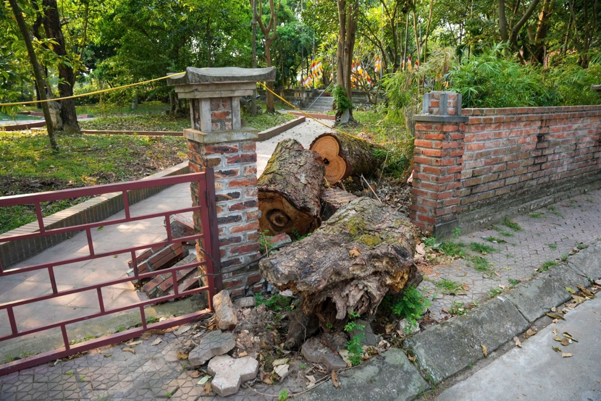 Bắc Giang: Chùa Vĩnh Nghiêm Triển khai khôi phục, tu sửa sau thiệt hại từ bão số 3