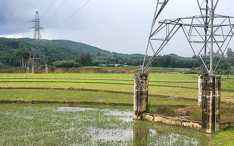 Quảng Ngãi: Loạt trụ điện trái phép của thủy điện Đạt Phương Sơn Trà không có trong chủ trương đầu tư