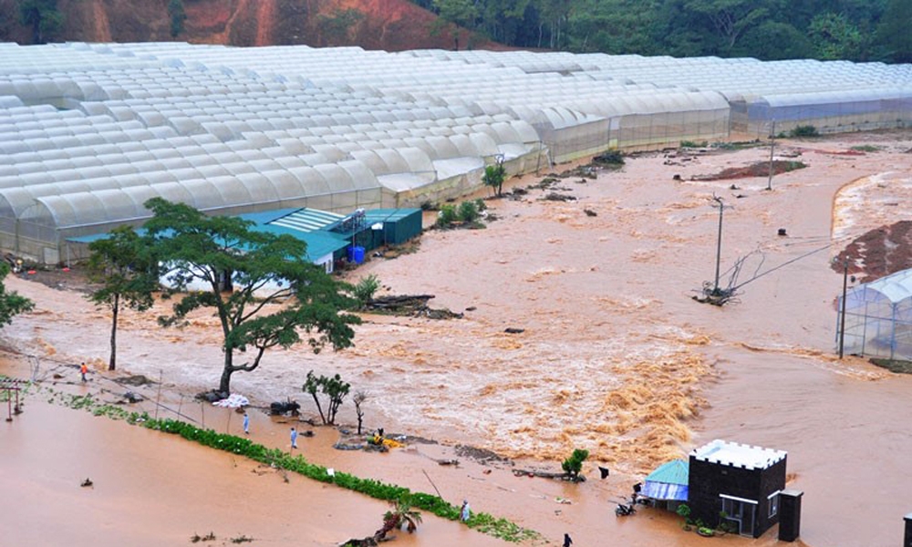 Gian lận hồ sơ, Tập đoàn Đồng Lương bị đánh trượt gói thầu gần 60 tỷ đồng