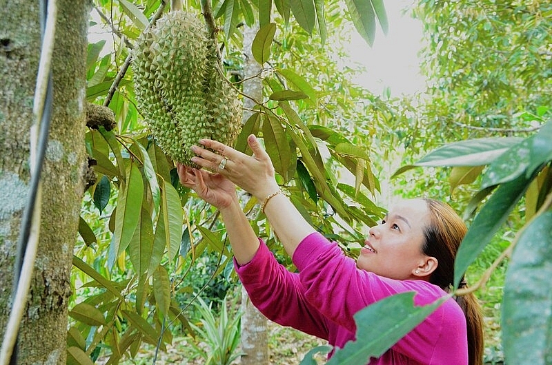 Tiên Phước (Quảng Nam): Quyết tâm trong việc xây dựng huyện nông thôn mới