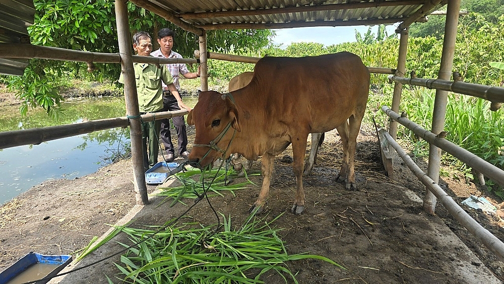 Hiệu quả các chương trình mục tiêu quốc gia tại Kon Tum