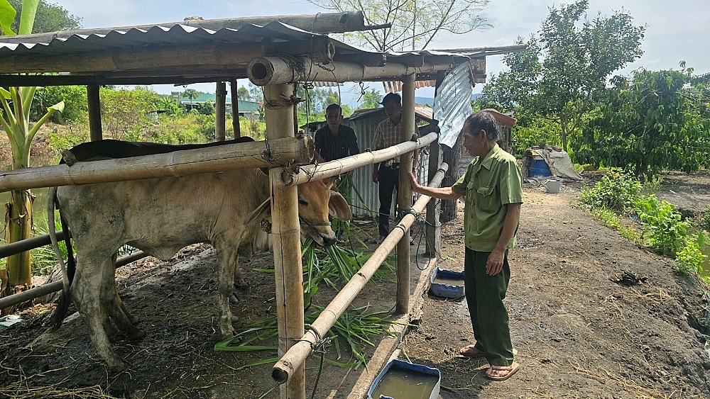 Hiệu quả các chương trình mục tiêu quốc gia tại Kon Tum