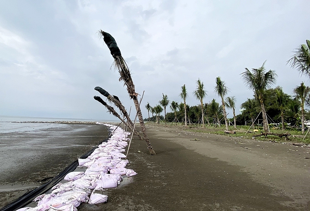 Cần Giờ (Thành phố Hồ Chí Minh): Tiên phong cải tạo bãi bồi ven biển để rồi bị phạt