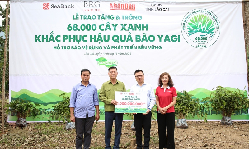 SeABank và Tập đoàn BRG chung tay trồng 68.000 cây phủ xanh gần 20ha rừng tại Lào Cai