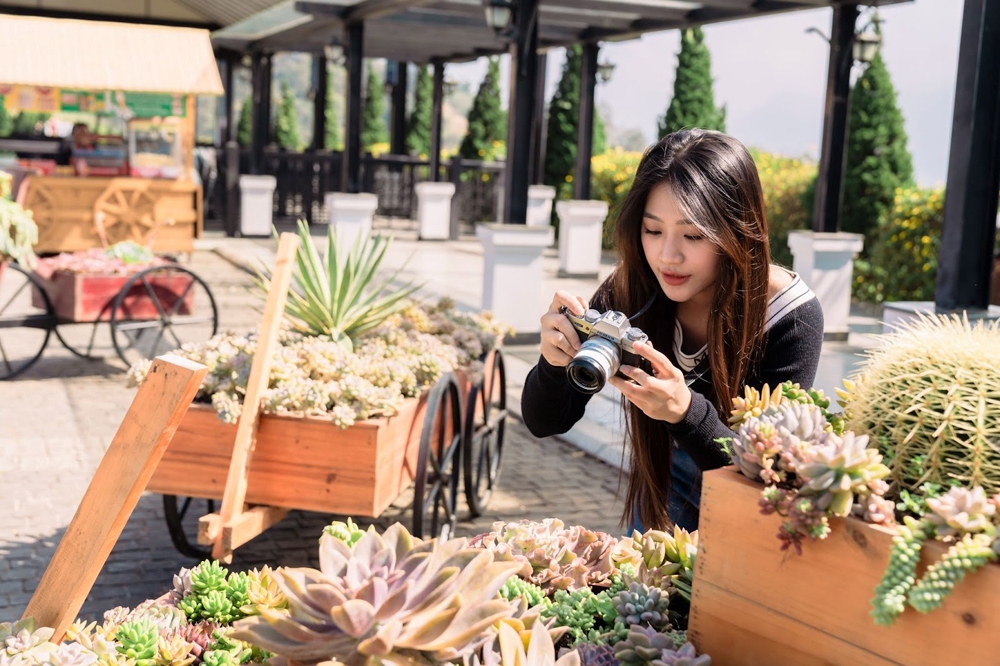 Sa Pa bung hàng loạt ưu đãi “đỉnh nóc kịch trần” dịp cao điểm du lịch săn mây