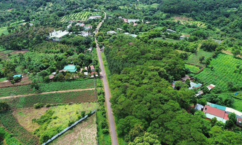 Đắk Lắk: Có gần 1,2 triệu ha đất nông nghiệp