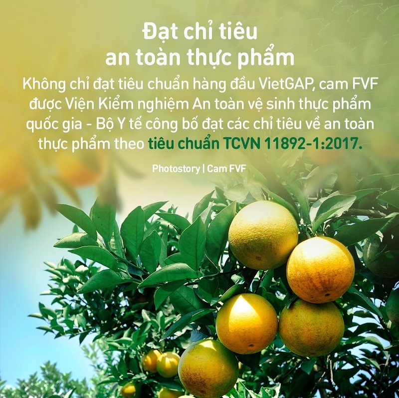 Giải mã lý do cam tươi FVF chinh phục người tiêu dùng