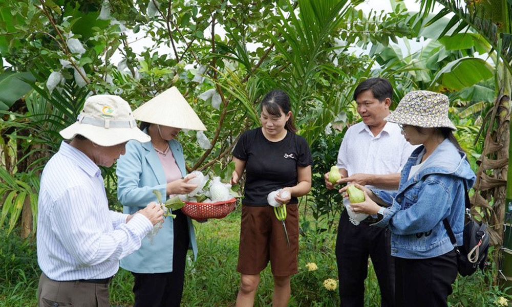 Quảng Nam: Đề nghị công nhận 11 xã đạt chuẩn nông thôn mới, nông thôn mới nâng cao, nông thôn mới kiểu mẫu năm 2024