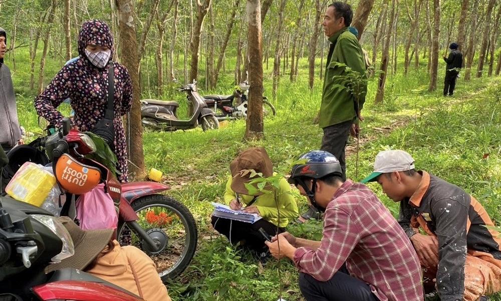 Vĩnh Linh (Quảng Trị): Hoàn thành giải phóng mặt bằng Dự án đường cao tốc Bắc - Nam theo đúng kế hoạch