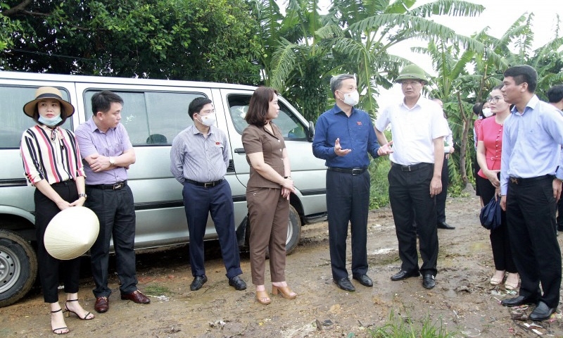 Hải Phòng: Công khai số điện thoại đường dây nóng và thư điện tử tiếp nhận thông tin phản ánh về ô nhiễm môi trường