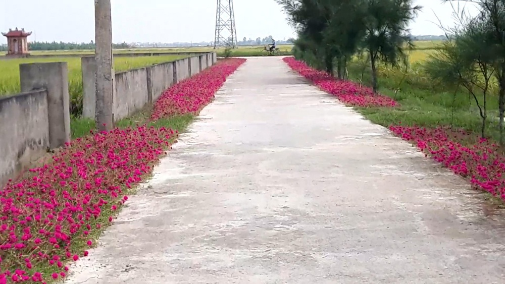 tien hai thai binh suc song moi cua mot vung que