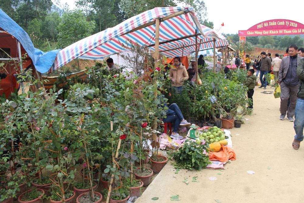 dau xuan tray hoi phu na