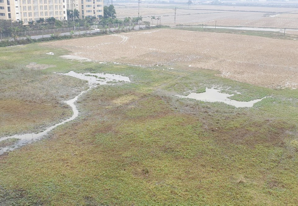 Bắc Ninh: Đề nghị dừng việc rao bán, hoạt động giao dịch, huy động vốn tại dự án Khu nhà ở thôn Đông Yên