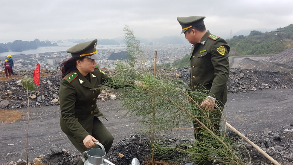 cam pha quang ninh trong tren 1500ha rung nam 2020