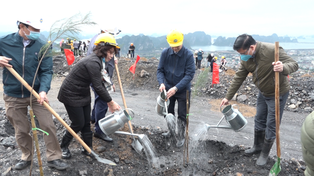 cam pha quang ninh trong tren 1500ha rung nam 2020