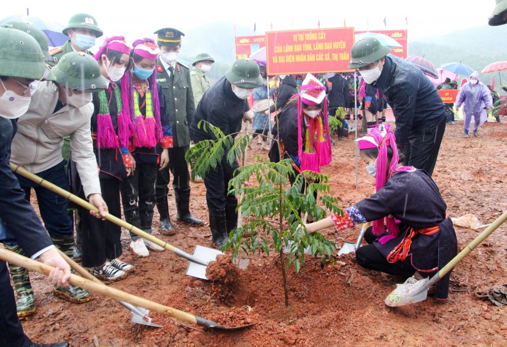 quang ninh phat dong tet trong cay doi doi nho on bac ho