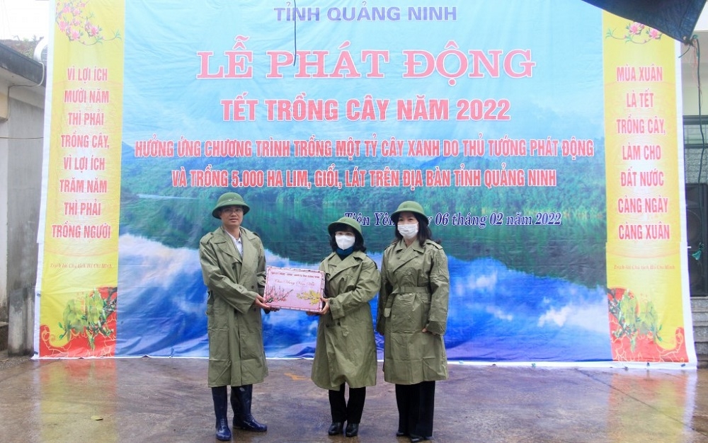 quang ninh phat dong tet trong cay doi doi nho on bac ho