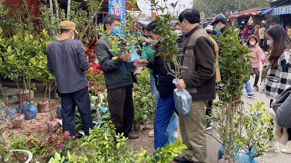 nam dinh dung to chuc cho vieng du khach van un un di le dau xuan o phu day