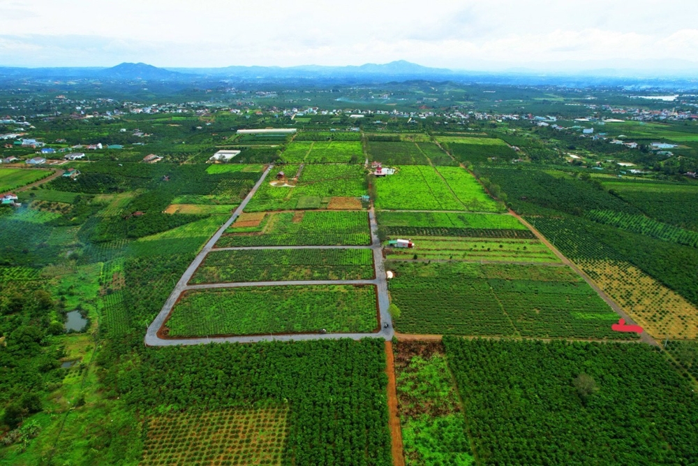 bat dong san lam dong suc hap dan trong dau tu dai han