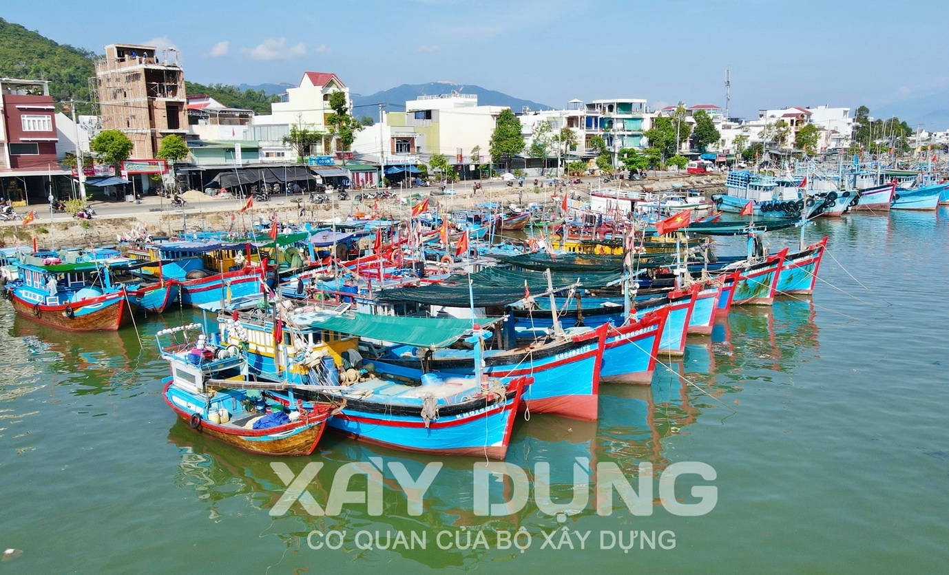 Sôi động những chuyến biển đầu năm